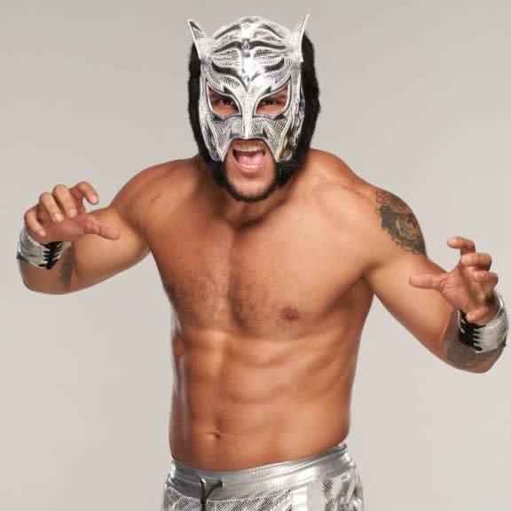 Lince Dorado