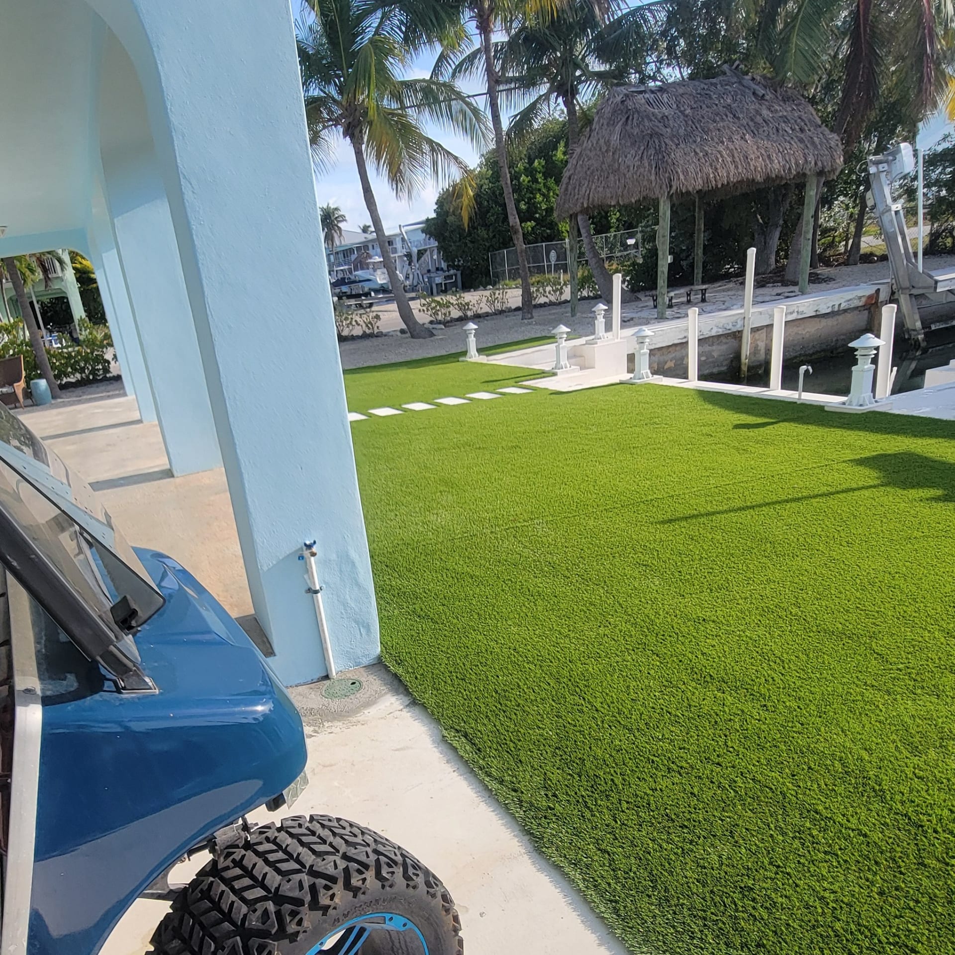 Monster grass