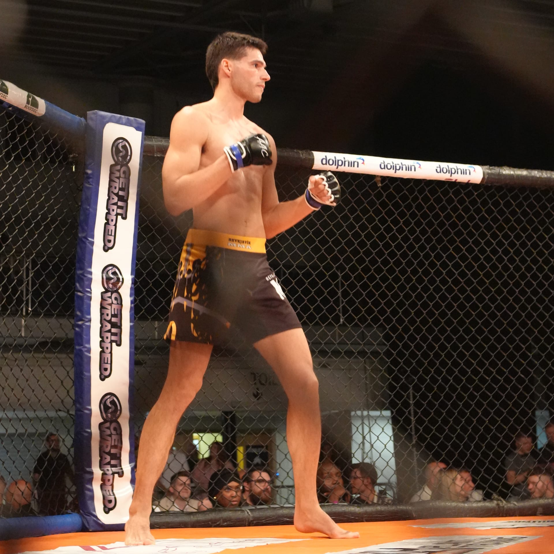 Oliveira.MMA
