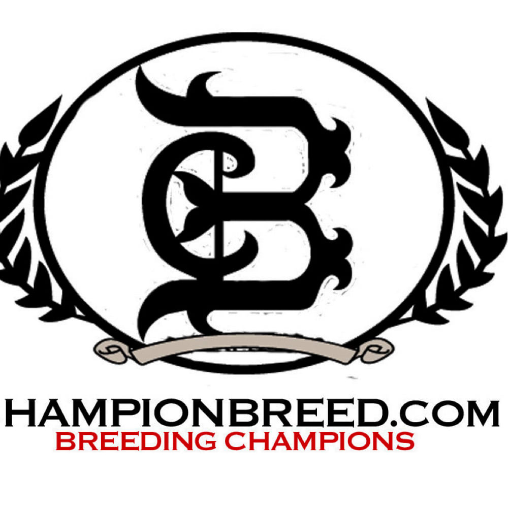 ChampionBreed LLC 