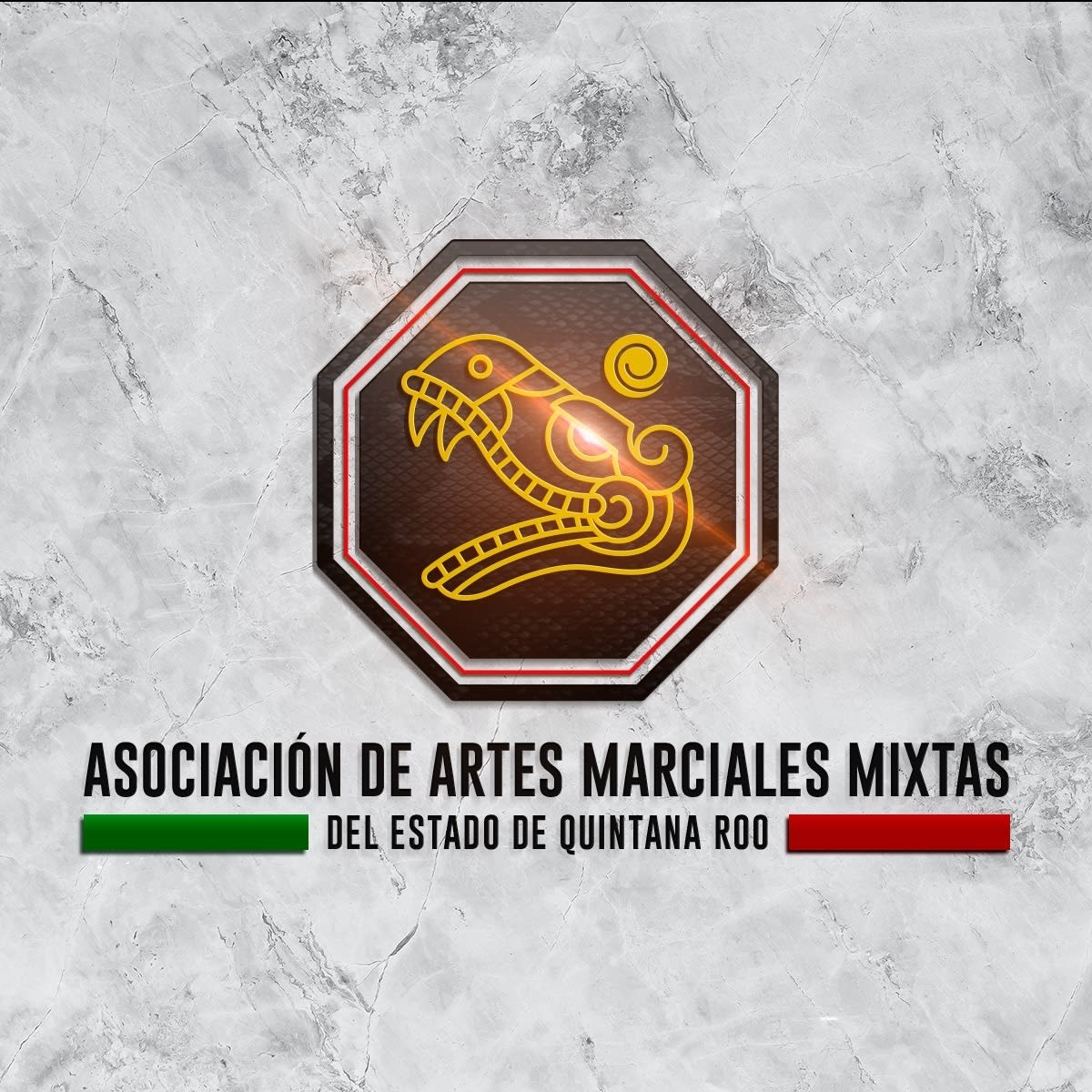 Asociación Quintanarroense de artes marciales mixtas y contacto completo