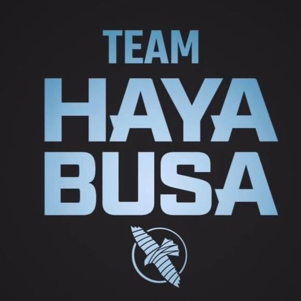 Hayabusa Training Centre Ltd. 