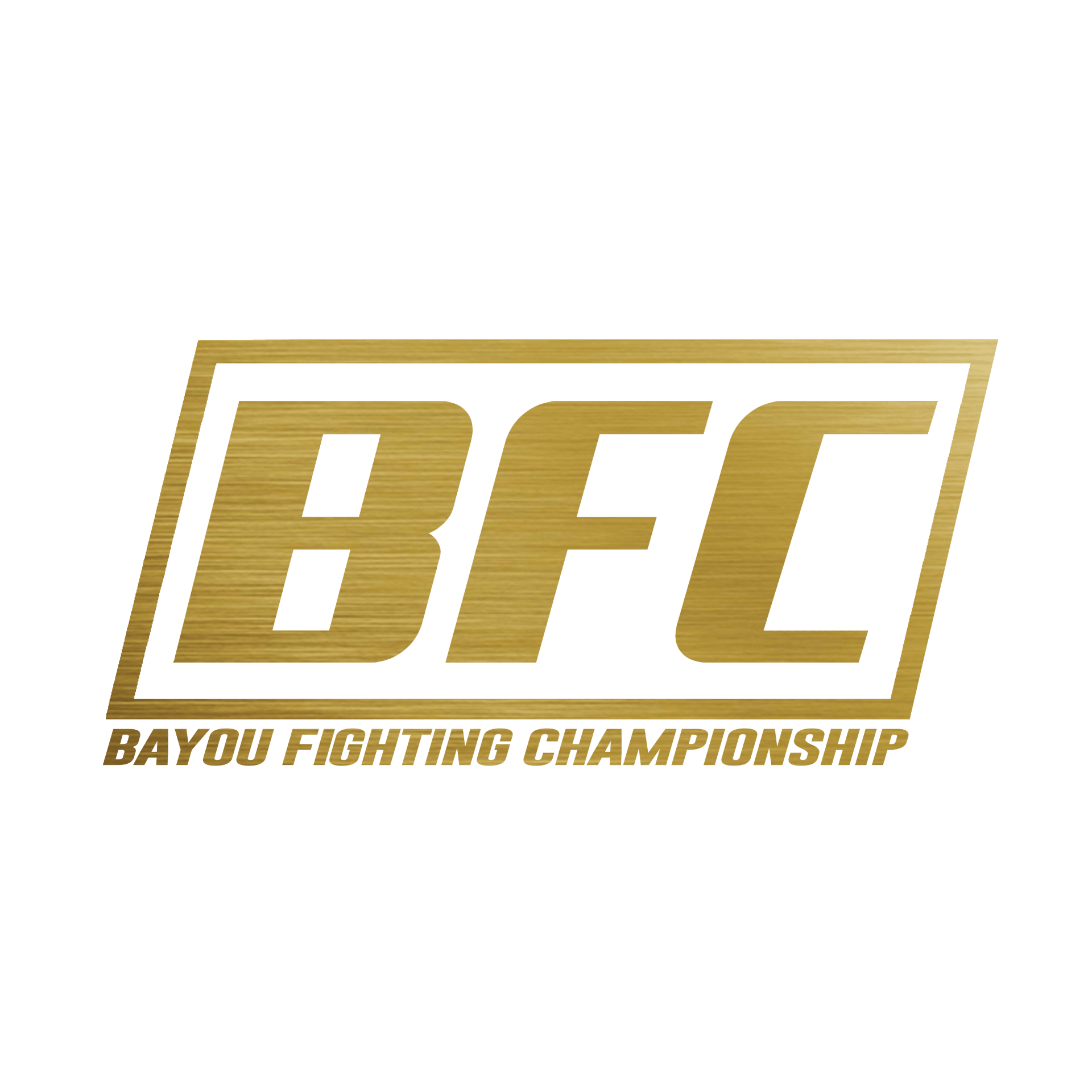 Bayou Fighting Championship MMA