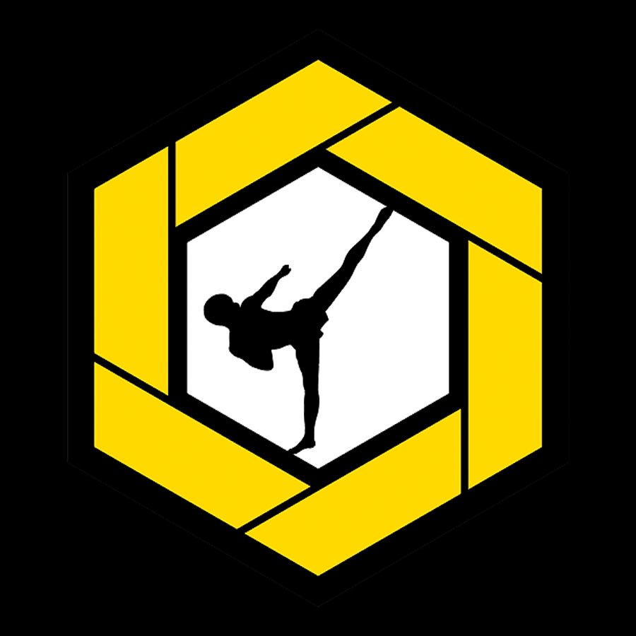 Headkicks MMA