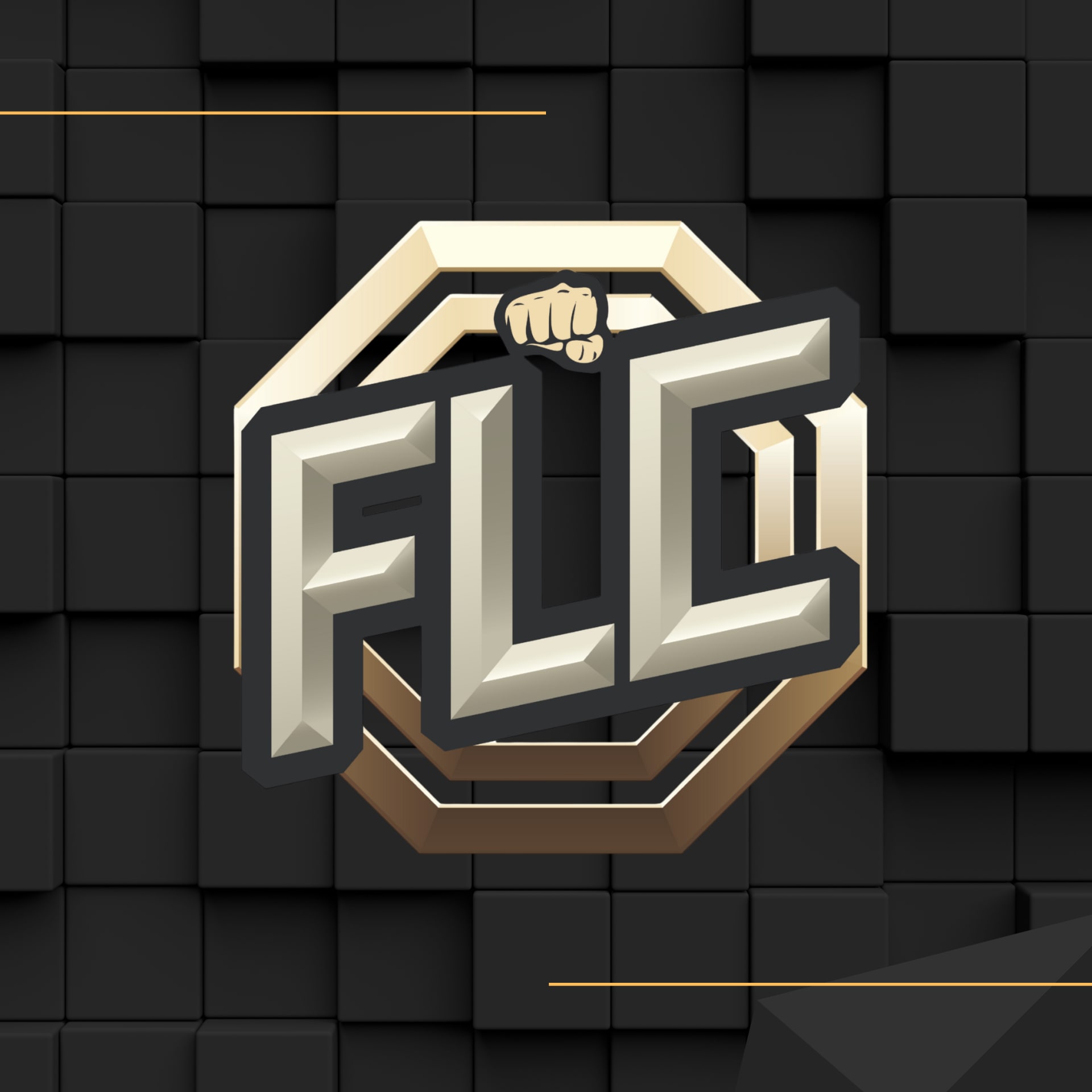 Fight League Champions | FLC