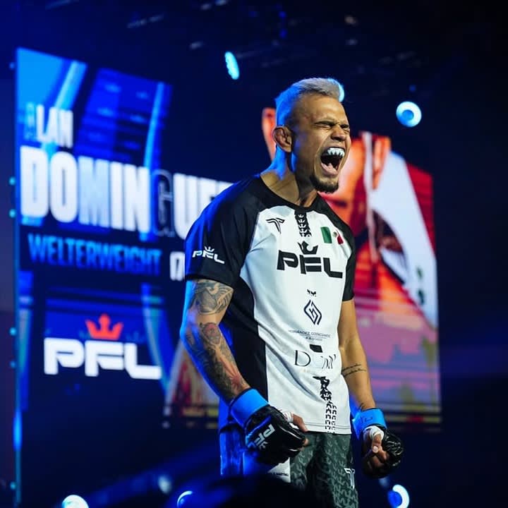 Alan Dominguez