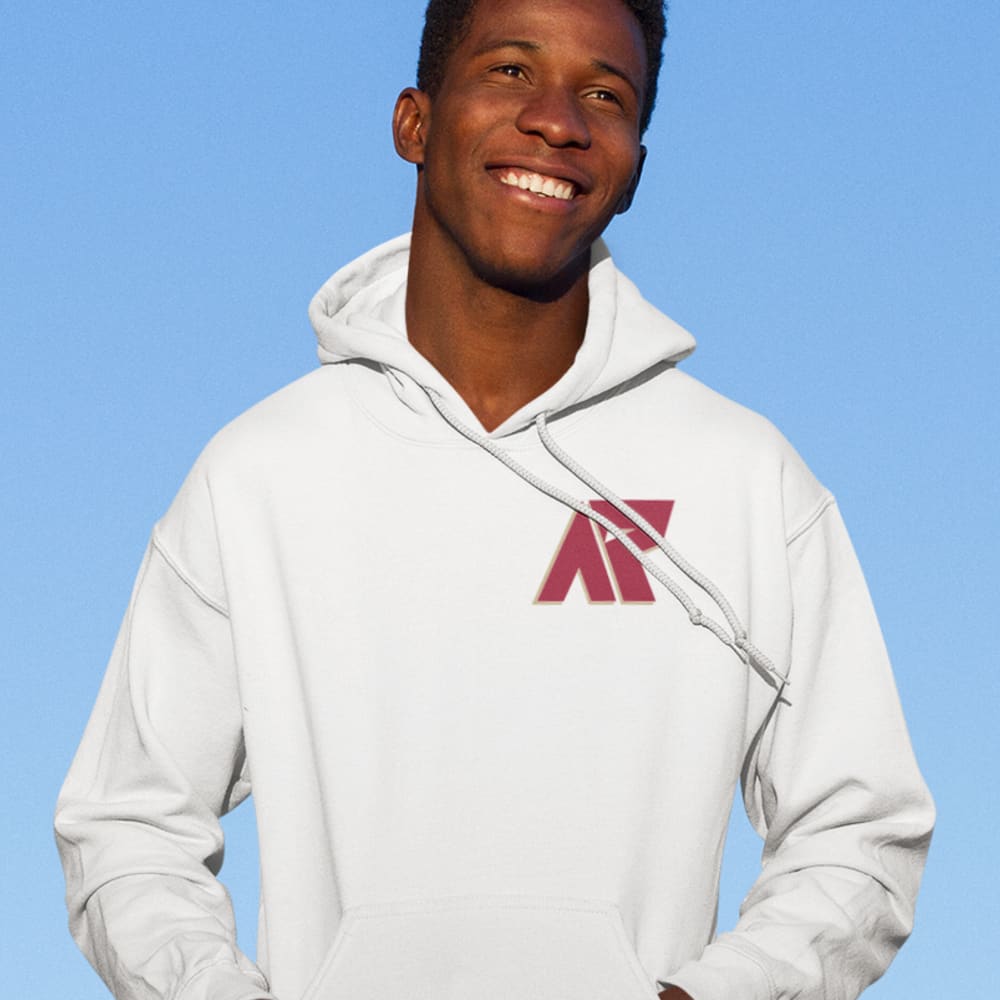 AR3 Stallions Men's Hoodie