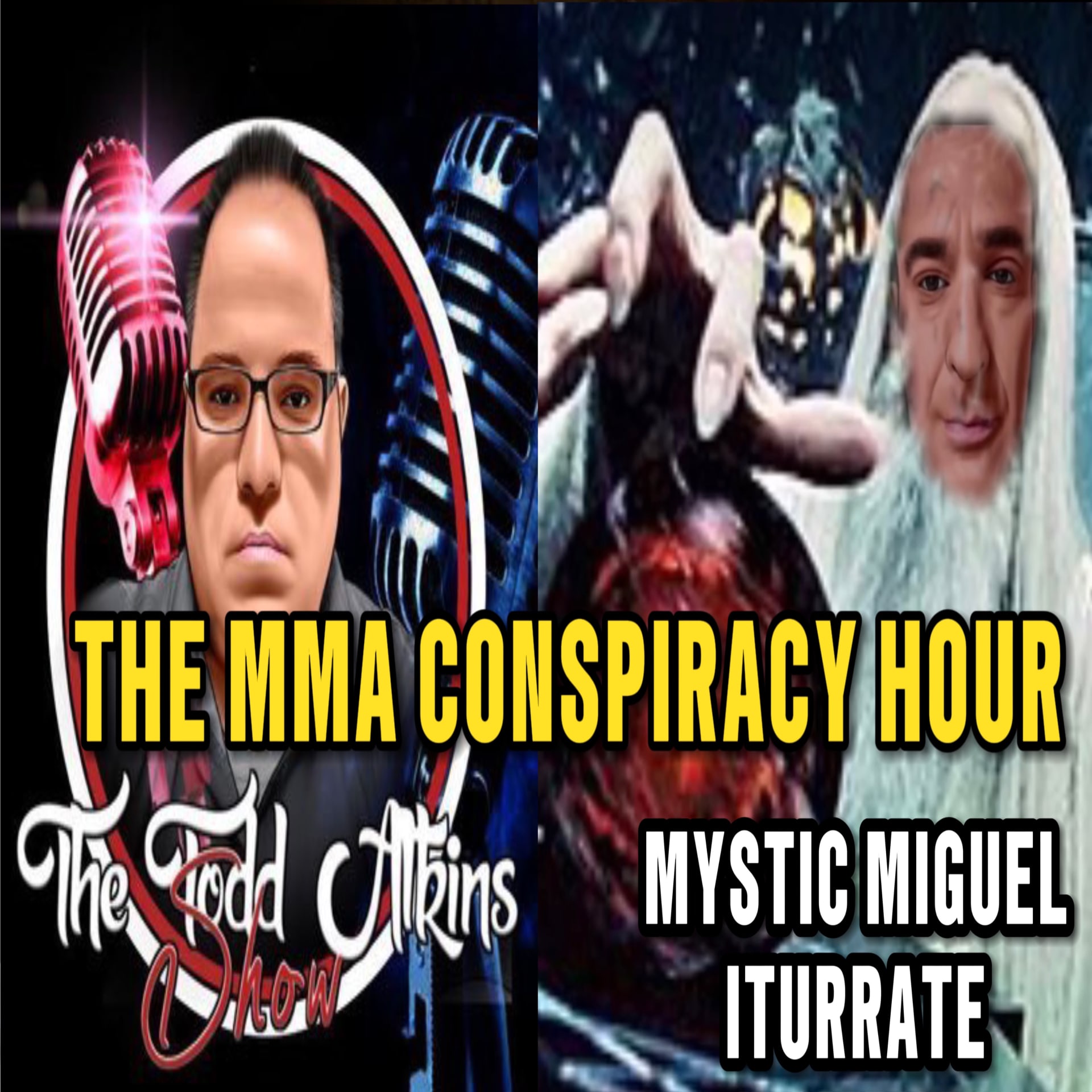 Sponsor the Todd Atkins Show or the MMA Conspiracy Hour