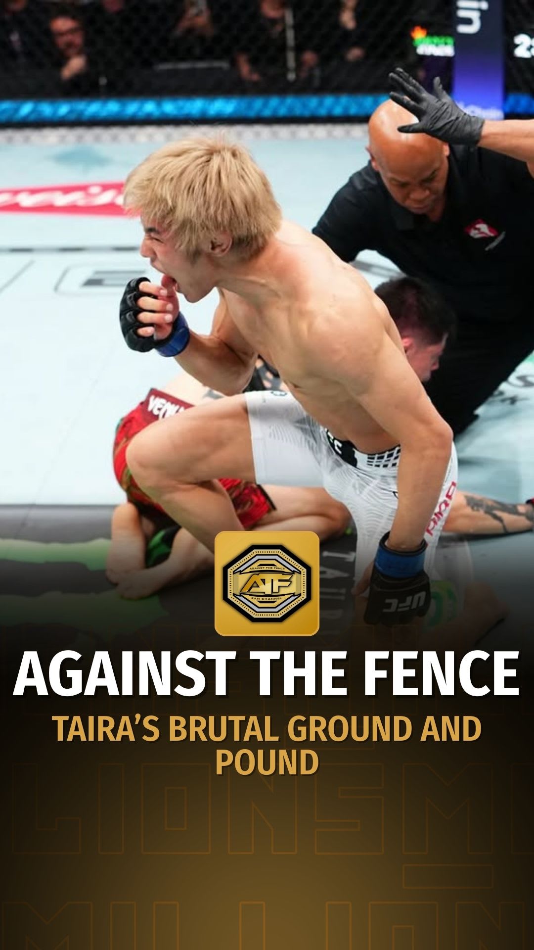 Against The Fence: Taira’s Brutal Ground And Pound | Podcast