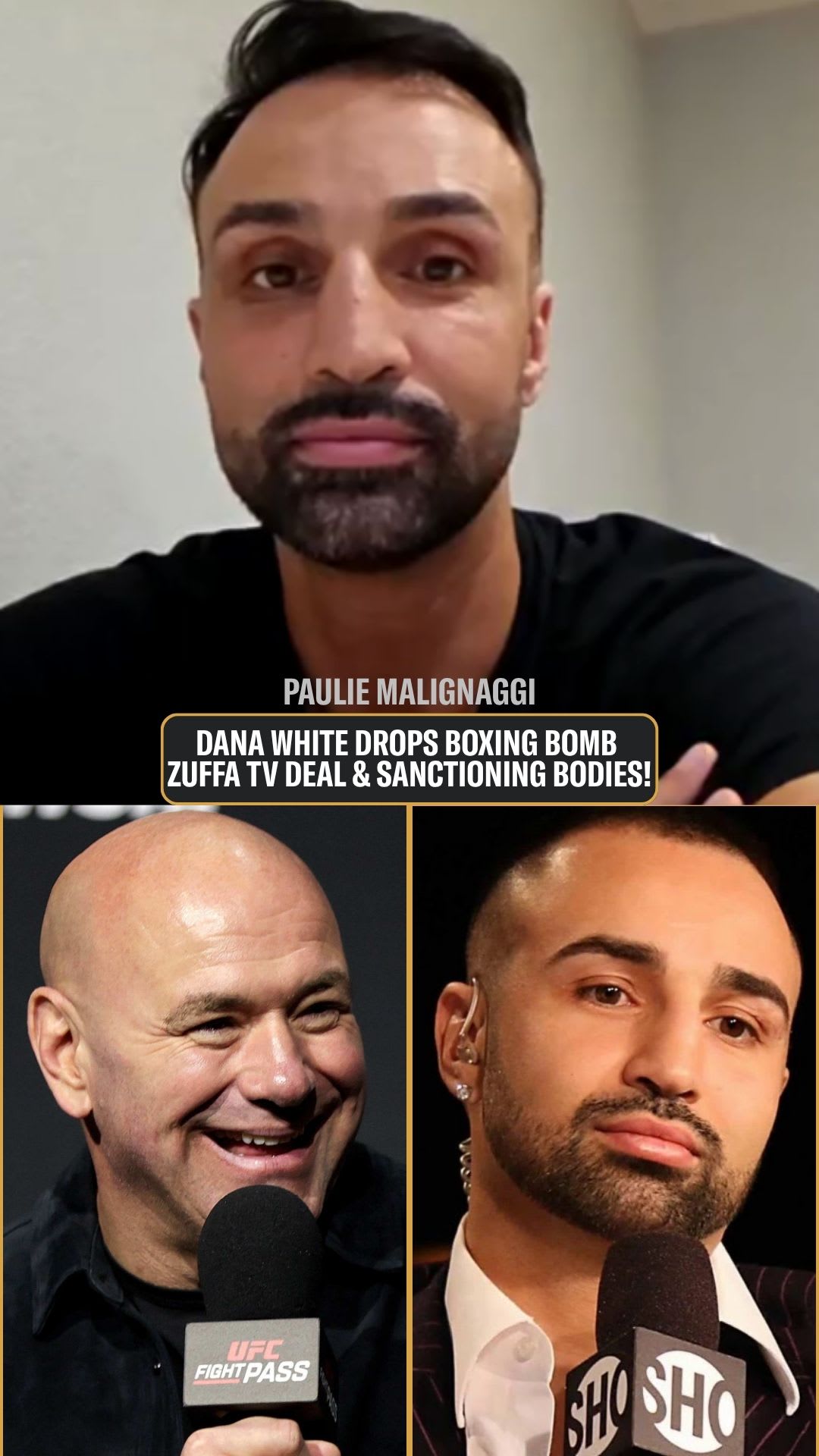 Paulie Malignaggi : Dana White Drops Boxing Bomb Zuffa TV Deal & Sanctioning Bodies! | Press Interview