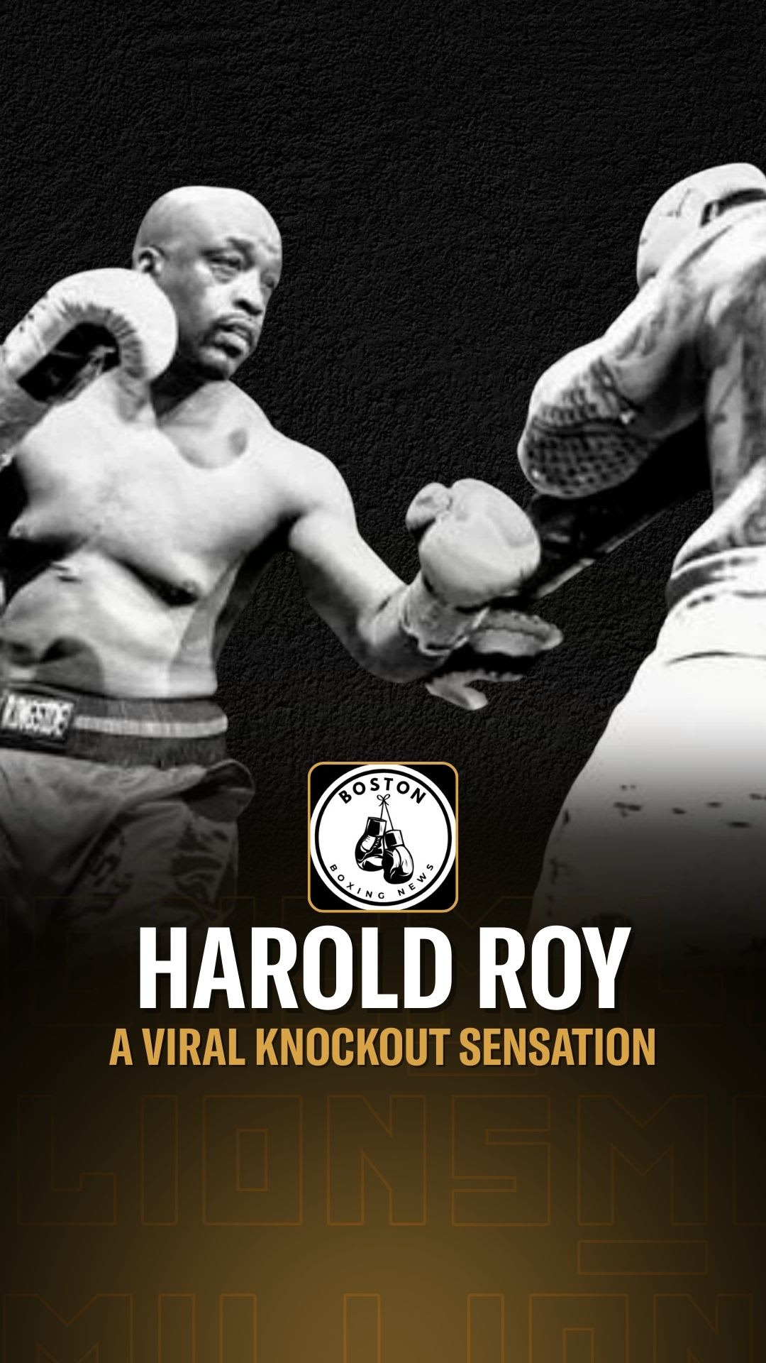 Harold Roy: A Viral Knockout Sensation | Press Interview