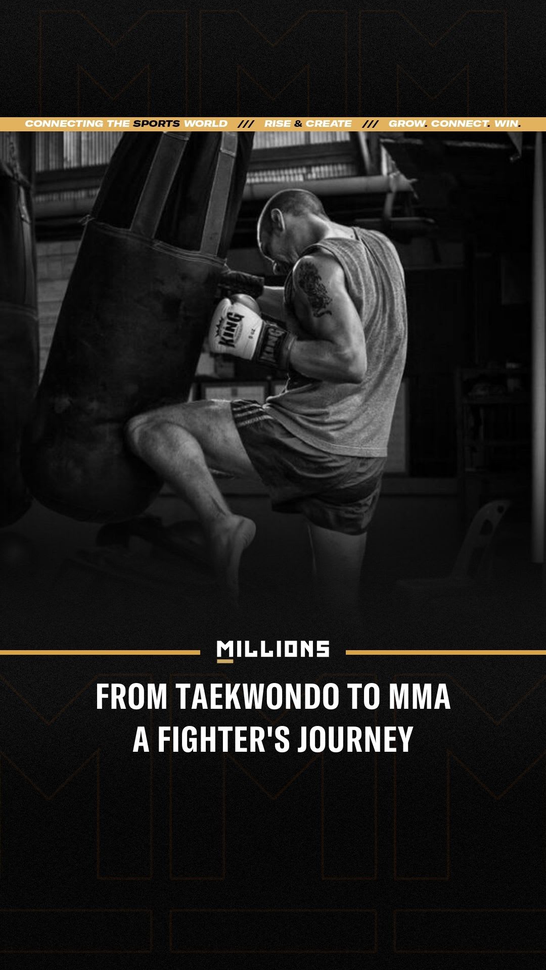 Jermain Taylor: From Taekwondo to MMA A Fighter's Journey | Press Interview