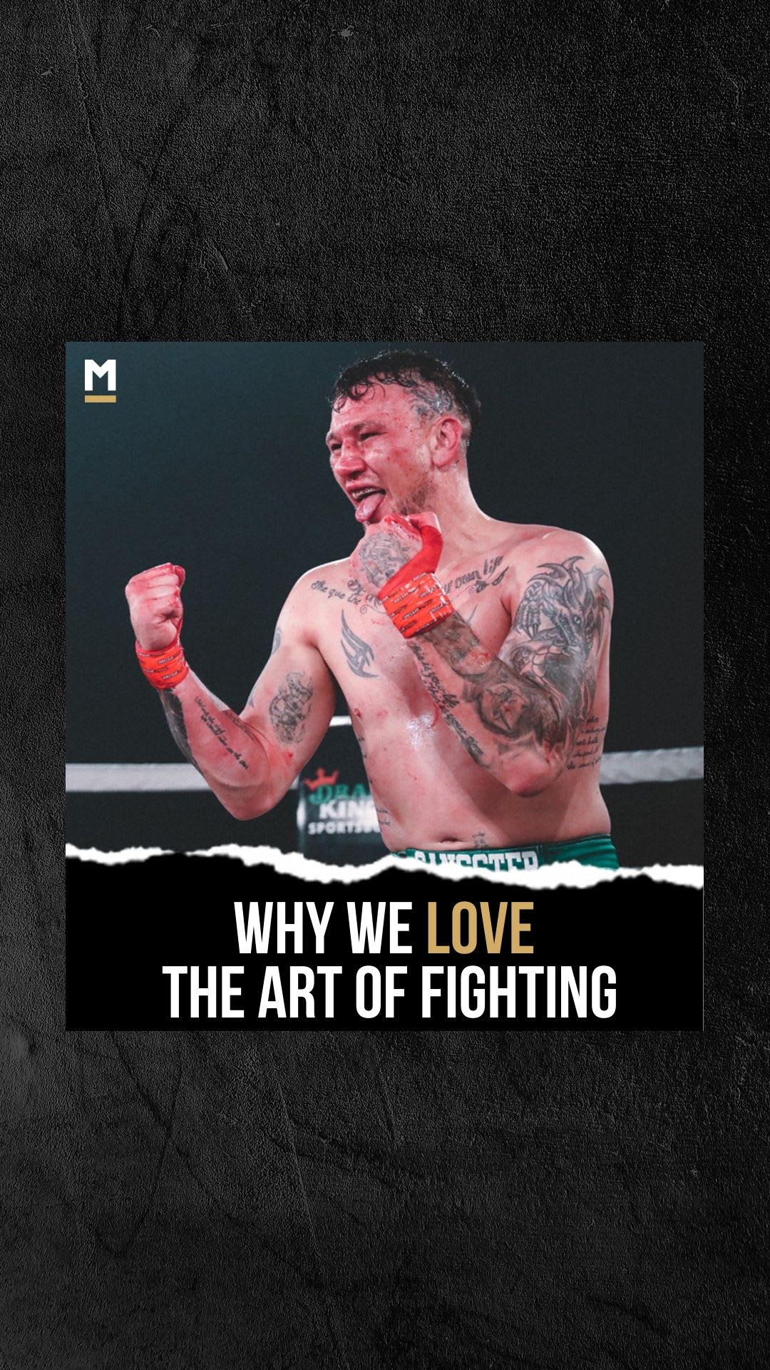 David Round: Why We Love the Art of Fighting. | Podcast