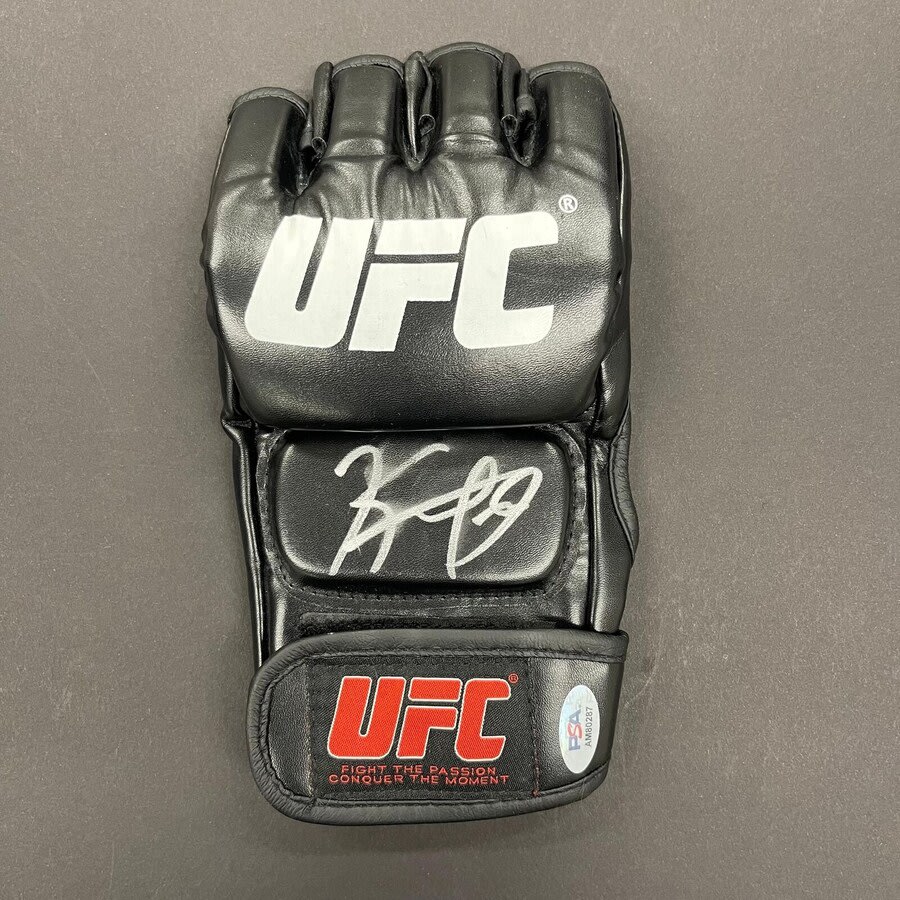 UFC Gloves