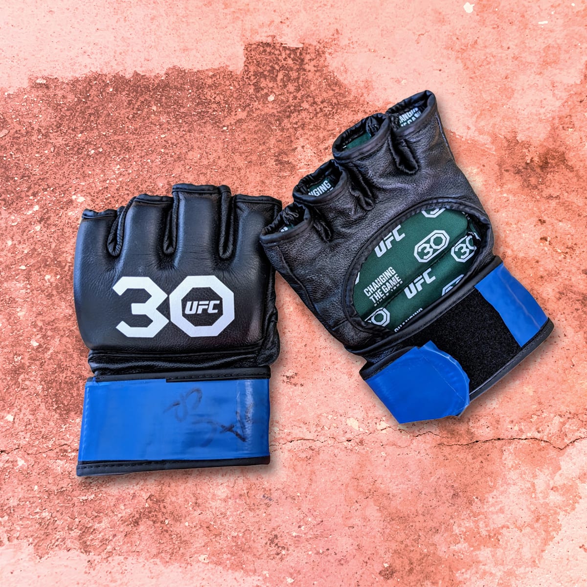 Kyle Nelson - UFC 30th Anniversary Fight Worn Gloves