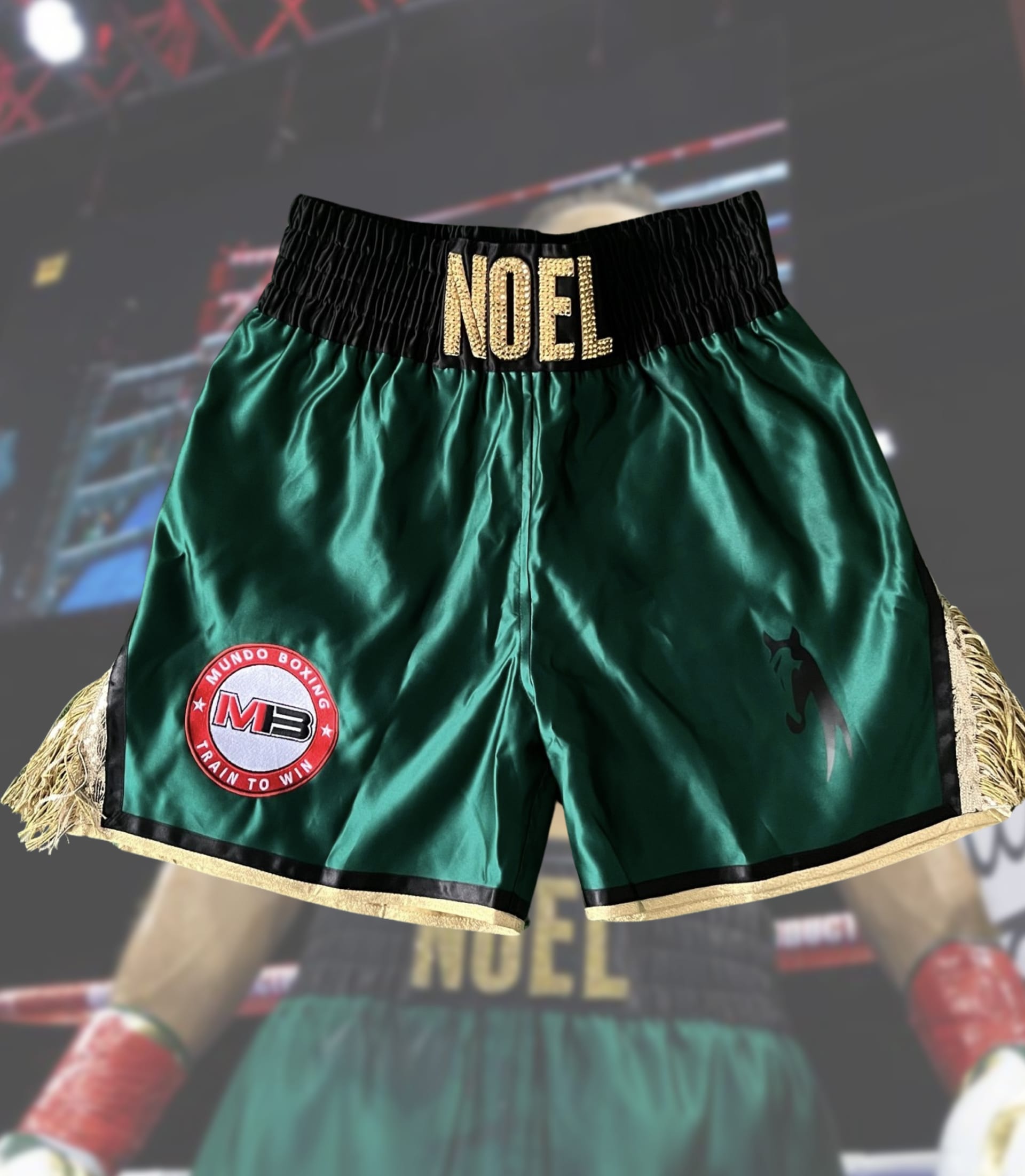 World Championship worn and won fight trunks