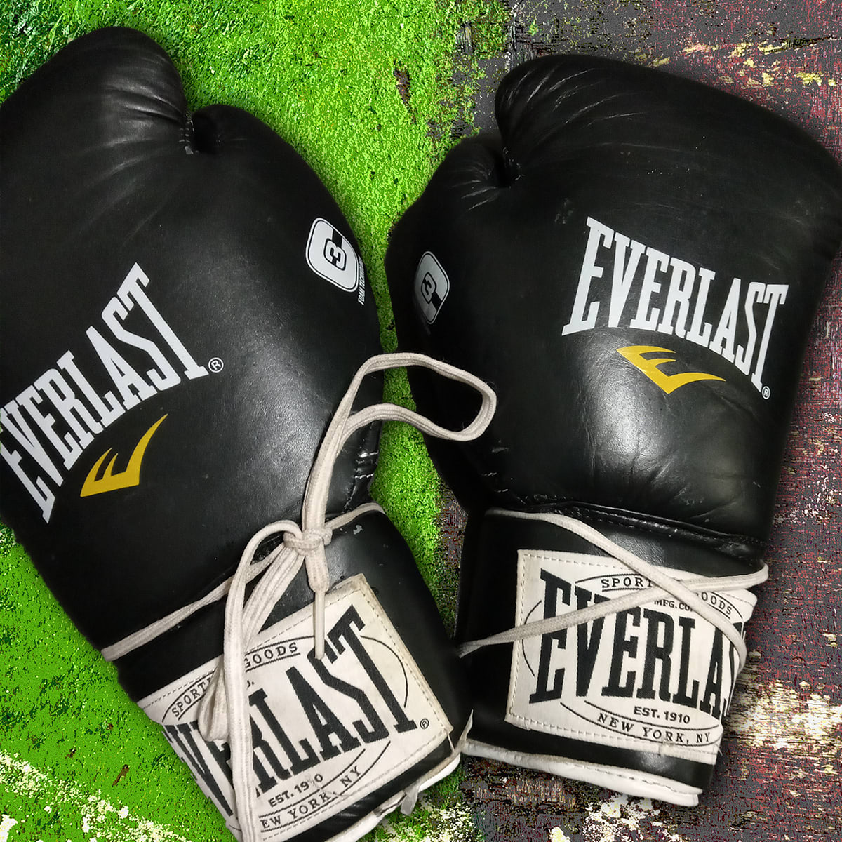 Limited Edition Fight Worn Everlast Gloves by Jimmy Williams