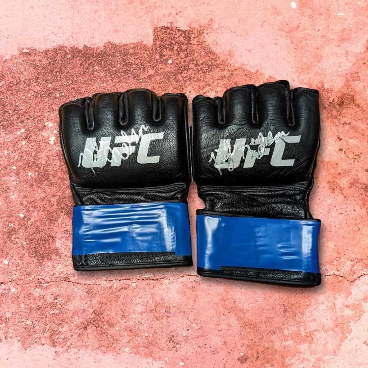 Kyle Nelson - Fight Worn Gloves