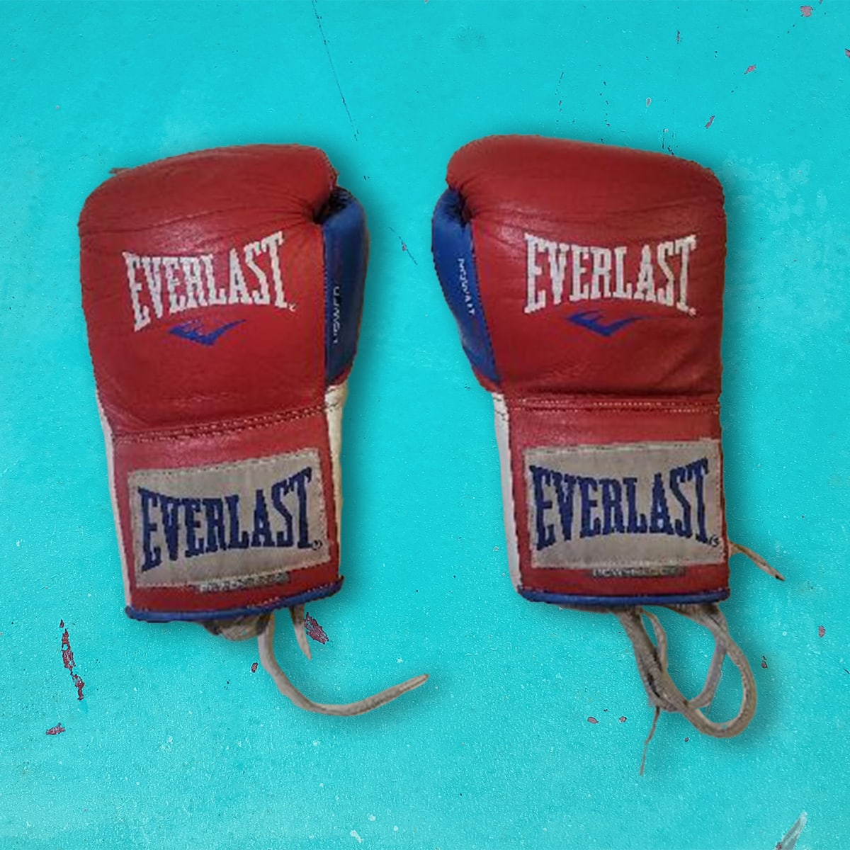Drew Dwelly Fight Worn Gloves