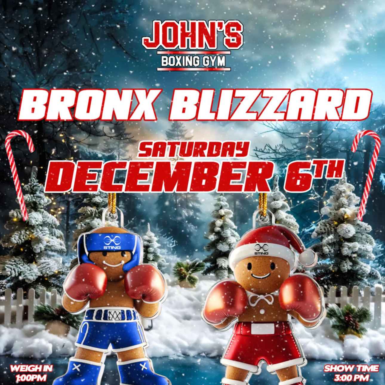 Bronx Blizzard
