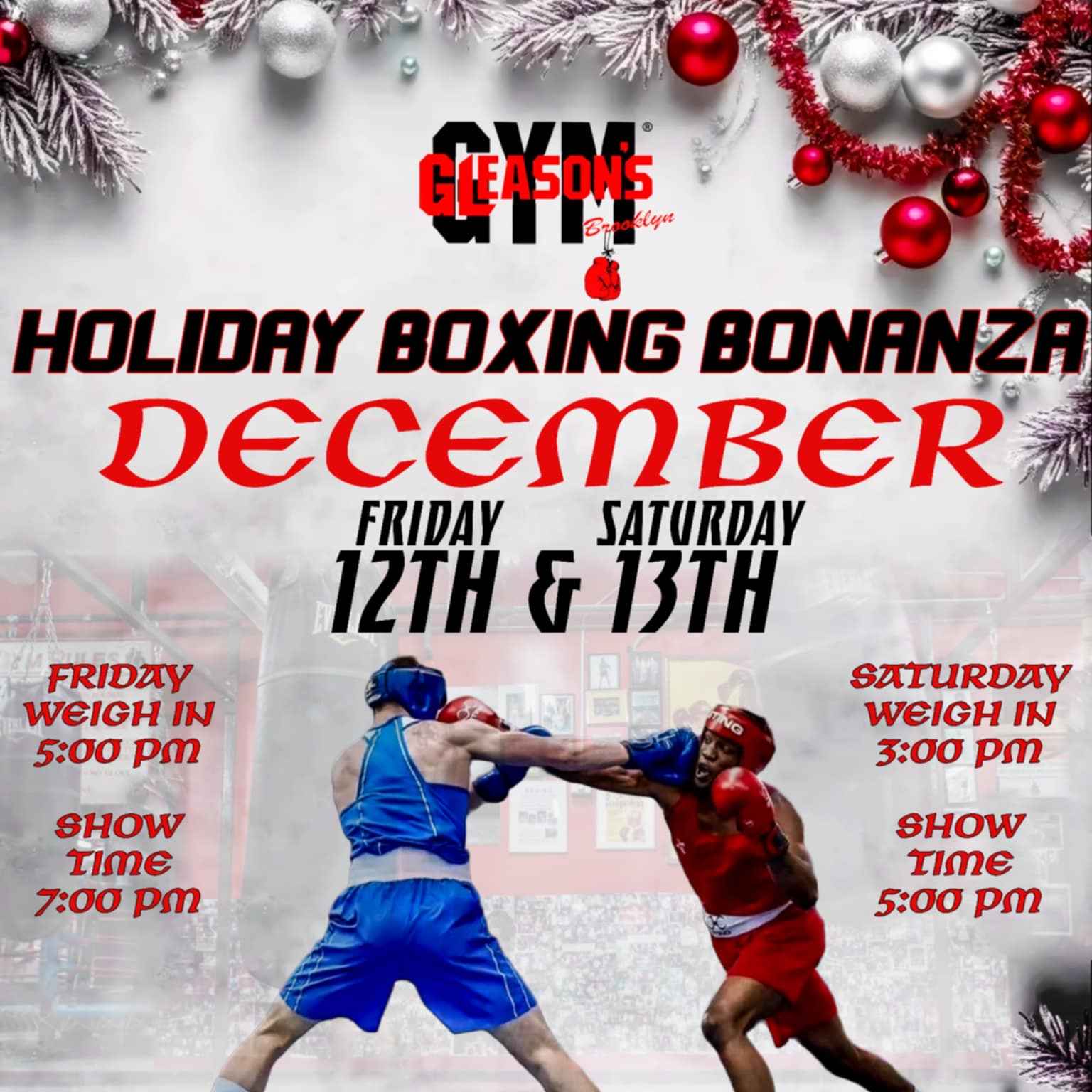 USA Boxing Metro Presents The Holiday Boxing Bonanza