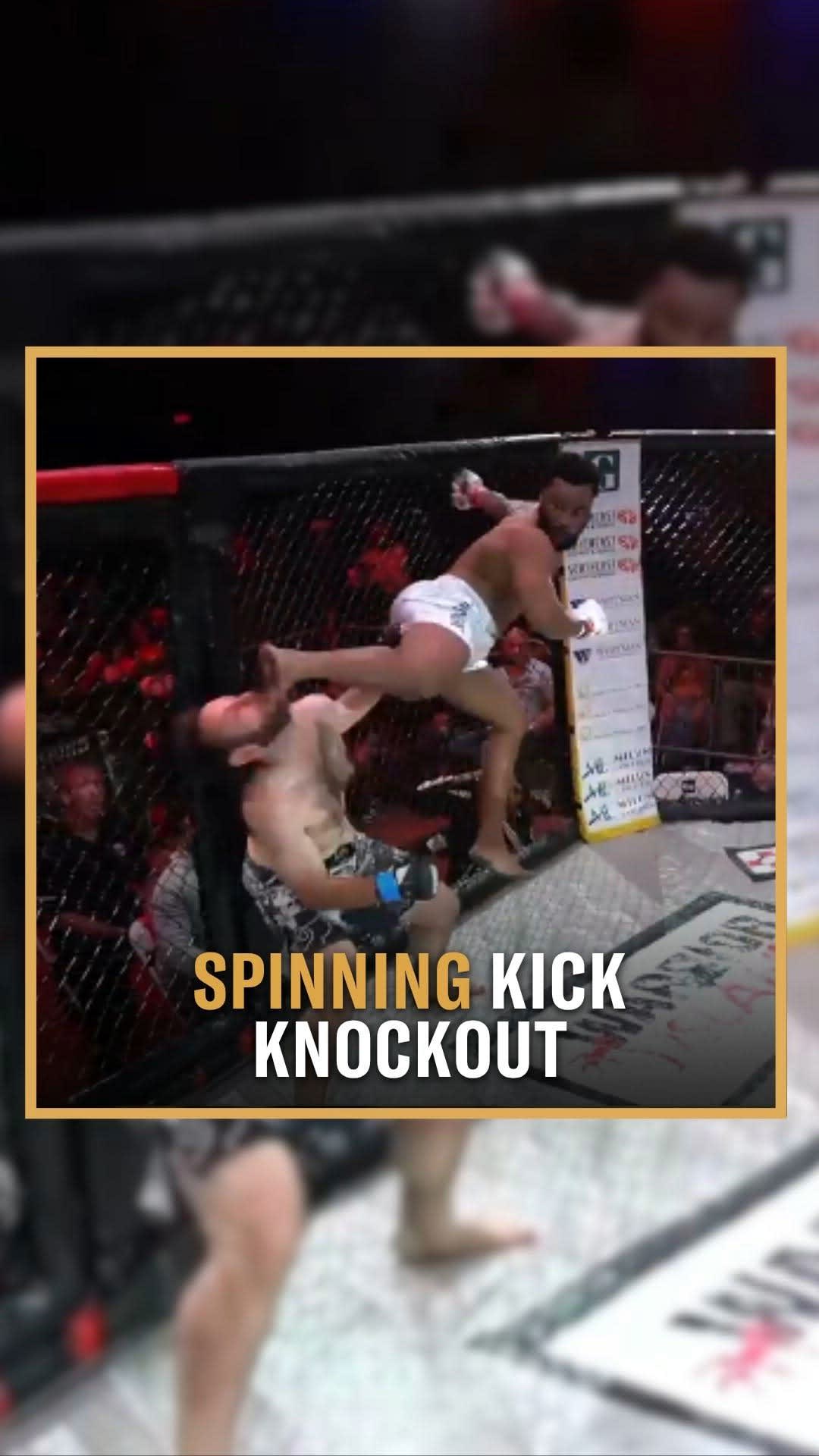 Extreme Cage Fight Highlights: Spinning Kick Knockout