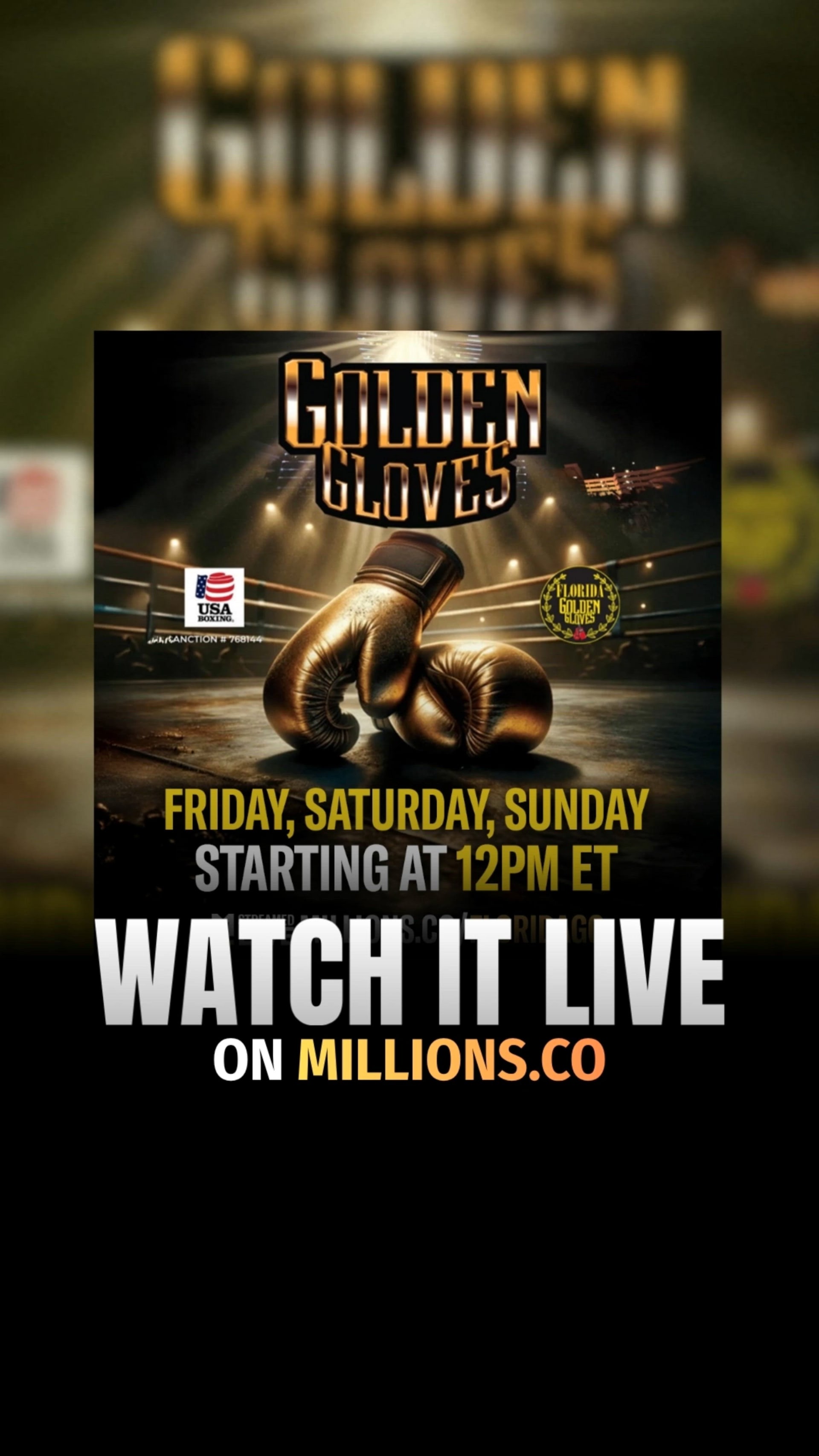 Florida Golden Gloves | Boxing | Streams, Videos | MILLIONS