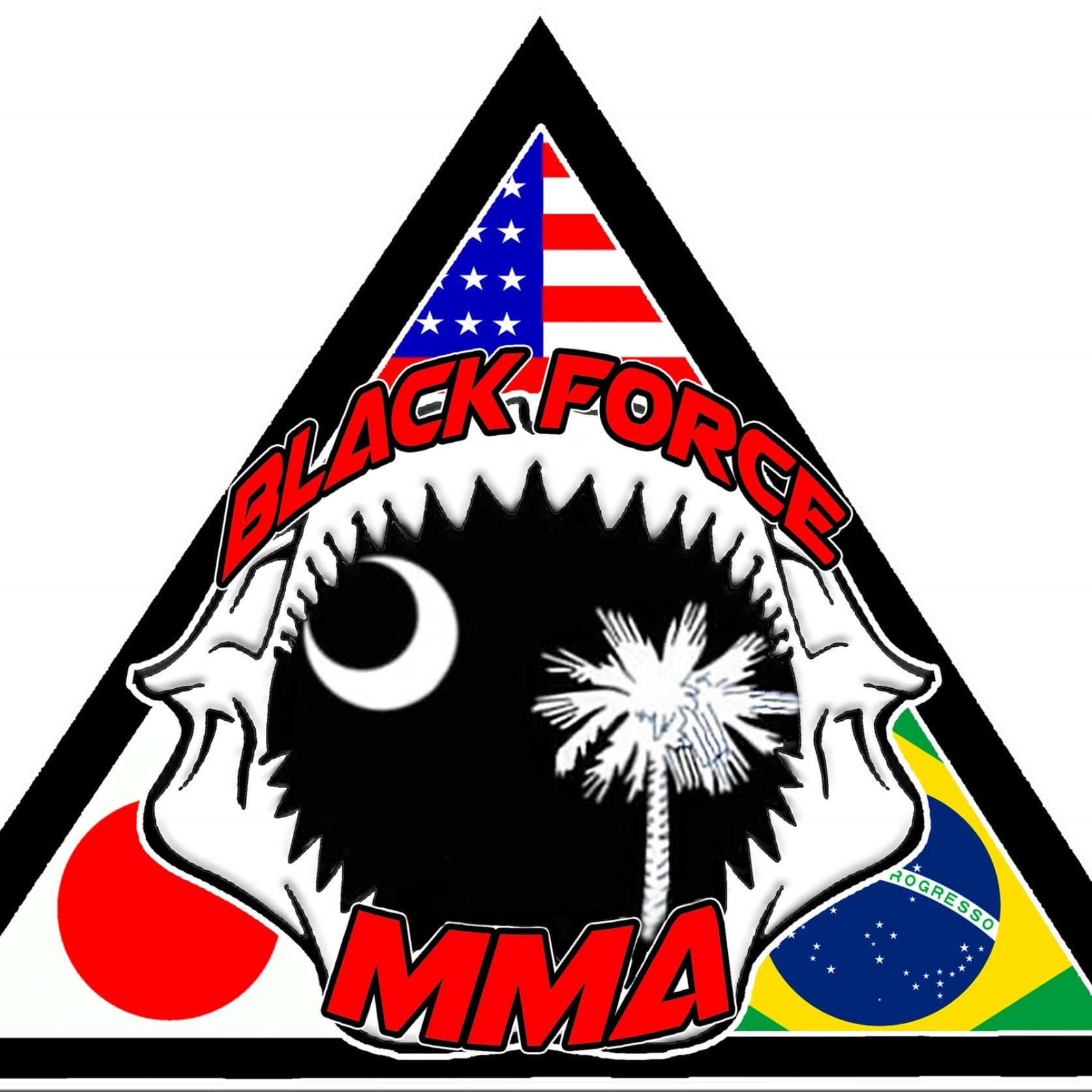 Black Force MMA 