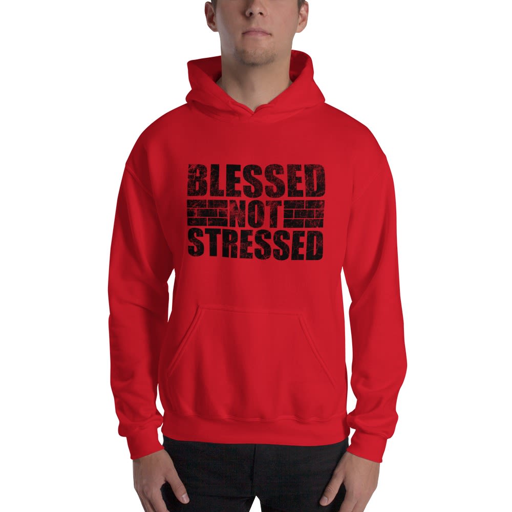 Blessed Not Stressed by Aaron Olivares, Hoodie, White Logo